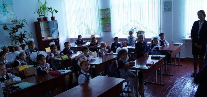 День самоуправления